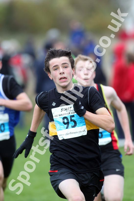 Blue 95, North East Harrier League, Sunderland